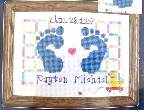 Janlynn kit punto croce - punto,